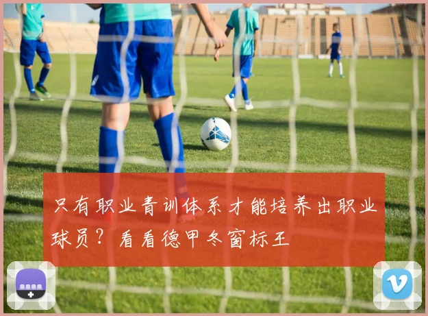 只有职业青训体系才能培养出职业球员？看看德甲冬窗标王